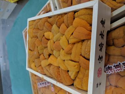生ウニ　丸宮　ロシア産　250ｇ【サービス品】