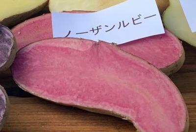 北海道産 ピンク色のじゃがいもノーザンルビー 2kg 仕入れなら業務用食材卸売市場mマート