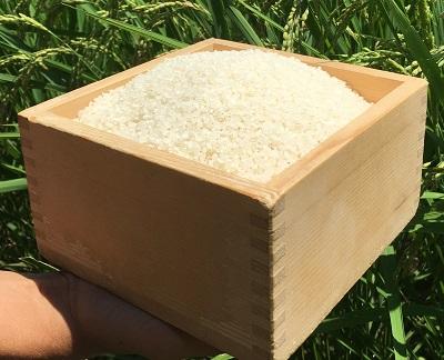 �y�����ʁz�y�V�āI�ߘa7�N�x�Y�z�@���ĂQ�T�����@�P�O�O���R�V�q�J��