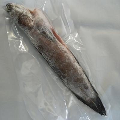 冷凍雷魚　ライギョ　タイ産　400g〜600g／1尾