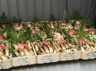 �X�܎ʐ^�E���S