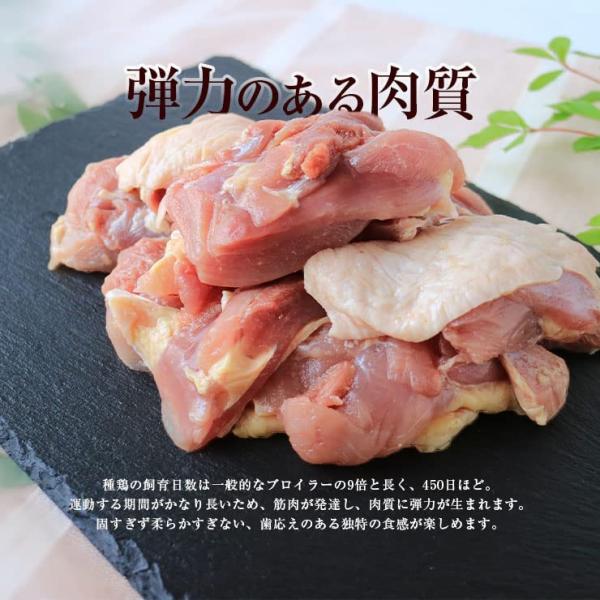国産/種鶏/たね鶏/親どりのもも肉/親鳥/ヒネ鶏/ひね鳥/2kg