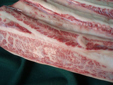 ������Q���y���јa��A�S�ȏ�T���J�N�o�����`���z�`���h