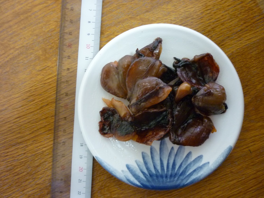 焼きいか浜焼風味