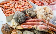 �X�܎ʐ^�E���S