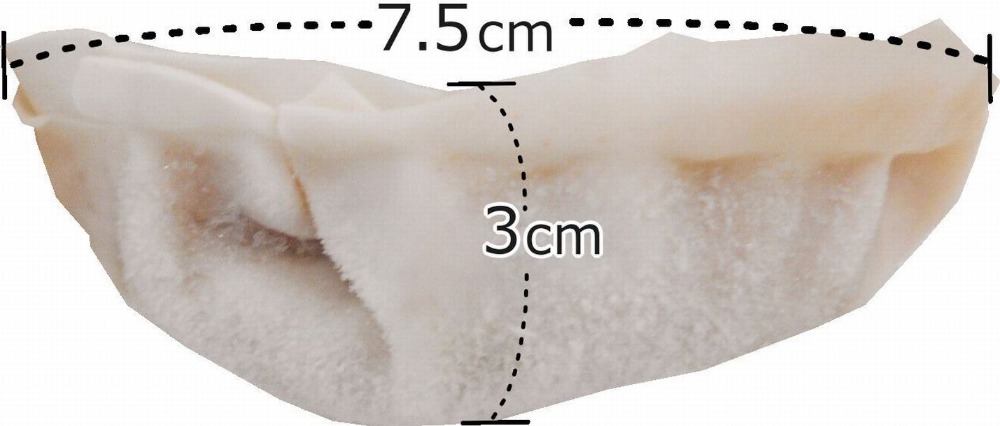 【送料込】鹿児島黒豚100%餃子