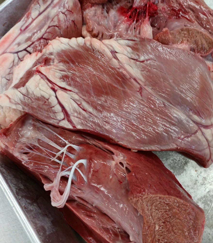 【新商品】【新商品】国産牛　ハツ　心臓