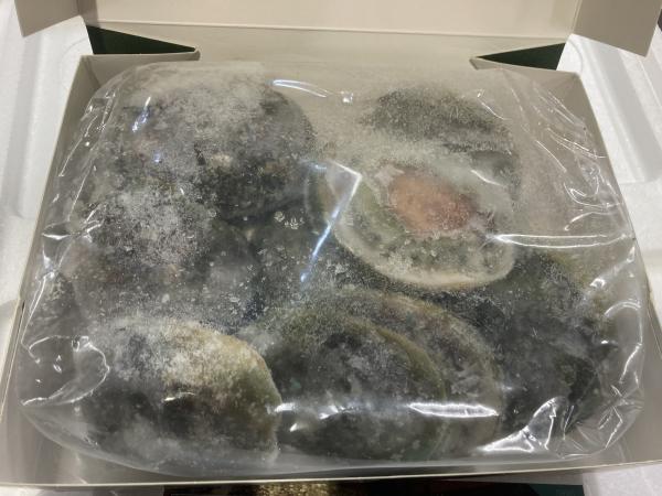 【翡翠の瞳】生食用　活冷凍あわび　殻付き