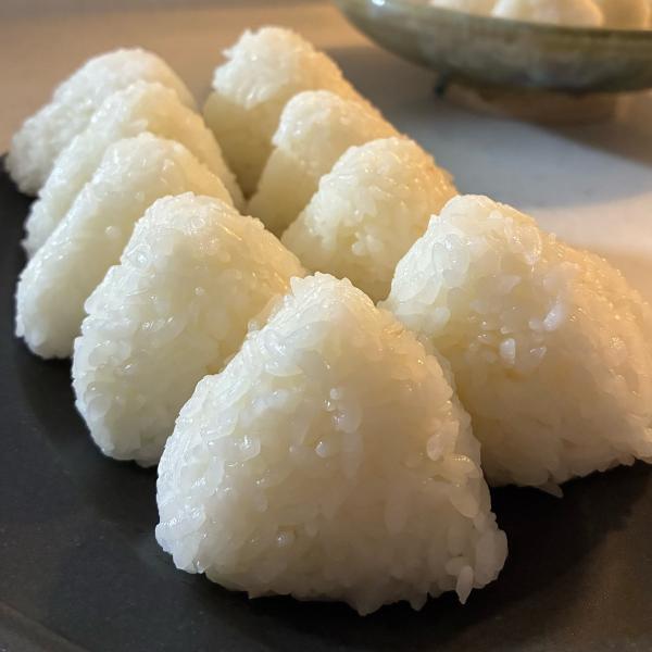 令和7年産　宮崎県都城ひのひかり　単一米　30kg