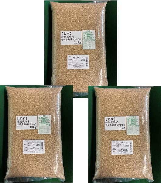 米-玄米｜仕入れなら業務用食材卸売市場Mマート