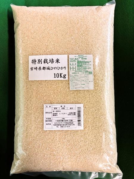 �ߘa7�N�Y�@���ʍ͔|�ā@�{�茧�s��Ђ̂Ђ���@�P��ā@10k...