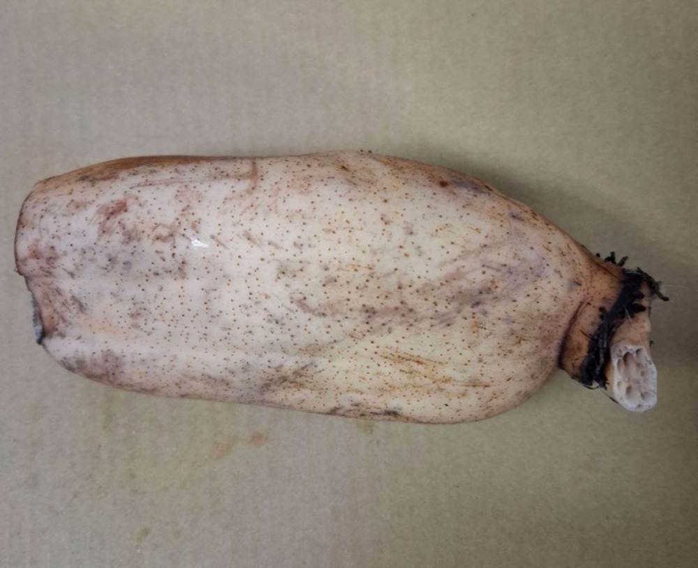 �卪���@��