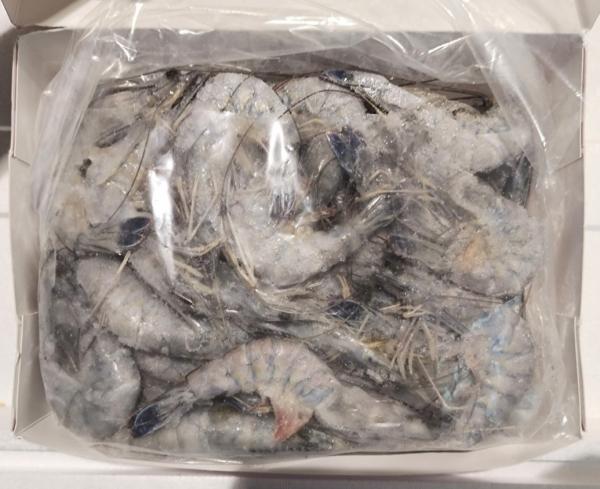 【豊洲直送】生食用・天使の海老(30/40)　10kg