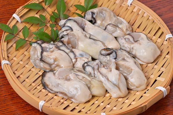 �y�����ʁz�y�L�F�����z�����y�i�J�L�j�����g����@���M�p