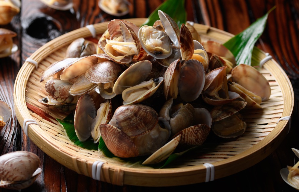 【豊洲直送】活北海あさり3特（約30〜40g25〜30個前後）