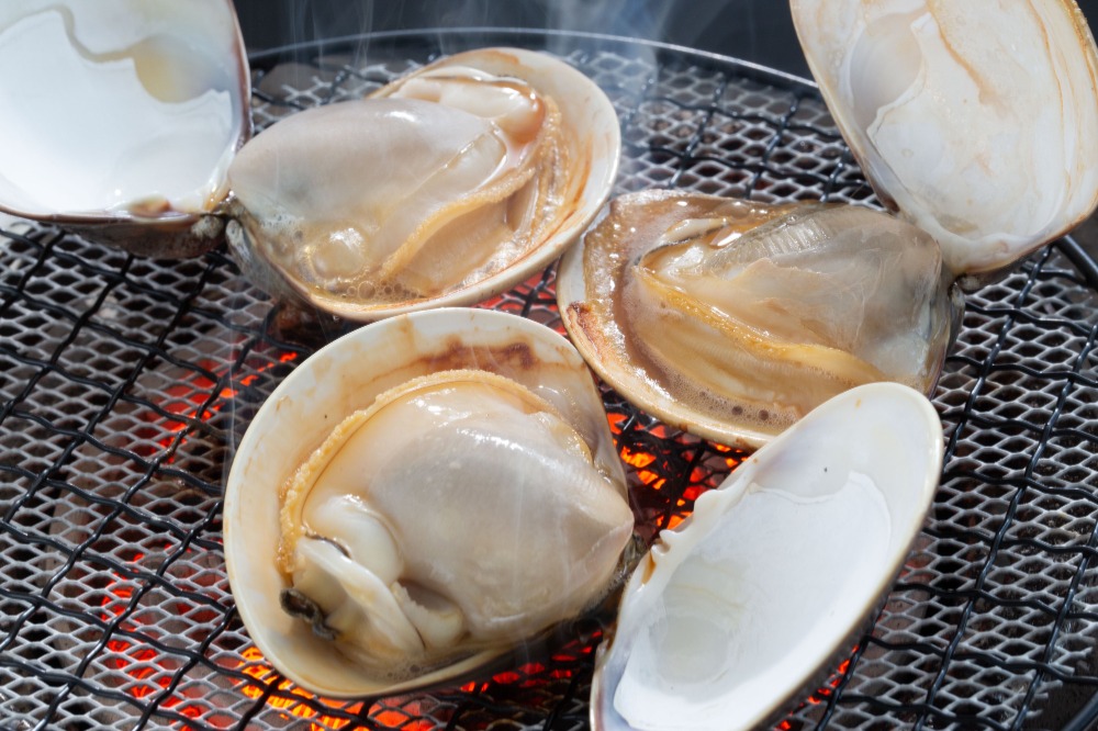 【豊洲直送】活　殻付き蛤（ハマグリ）　180/200g