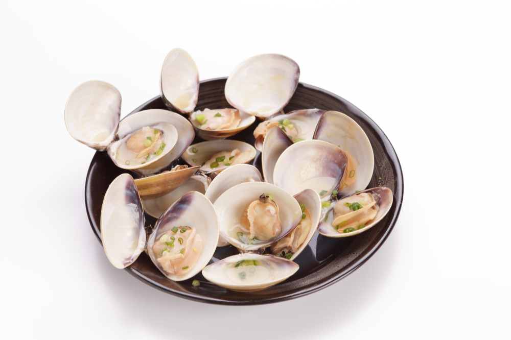 【豊洲直送】活　殻付き蛤（ハマグリ）　100/120g