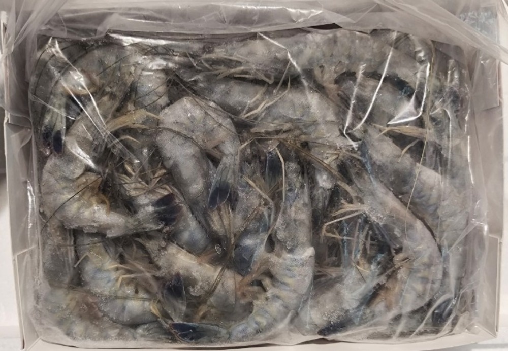 【豊洲直送】生食用・天使の海老(40/50)　10kg