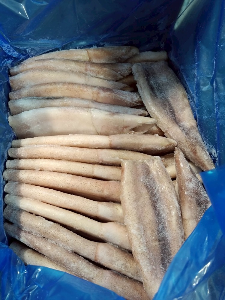 【豊洲直送】マツイカつぼ抜き　50尾（1杯約150g）