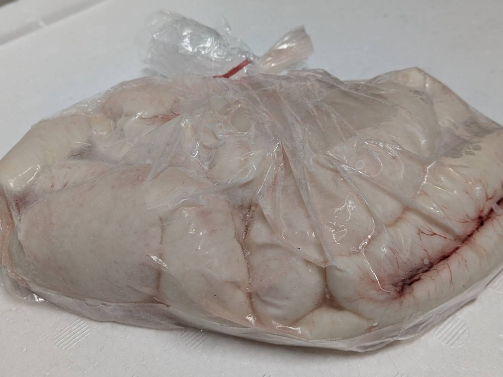 【豊洲直送】養殖とらふぐ白子　500g/PC