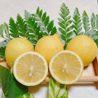 �y�����ʁz�y�g���؂�ɕ֗��ȏ����߃T�C�Y�z���˓��Ђ낵�܃�����