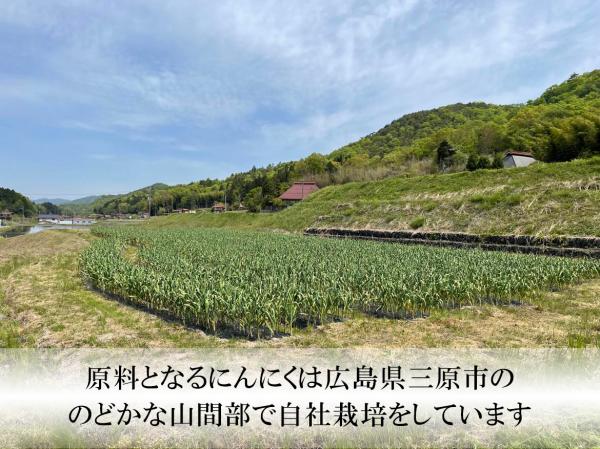 熟成黒にんにく500g(広島県産)2025年収穫