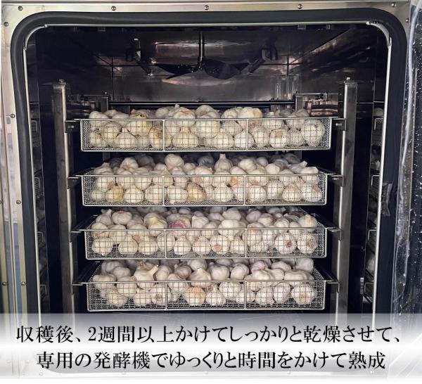 熟成黒にんにく500g(広島県産)2025年収穫