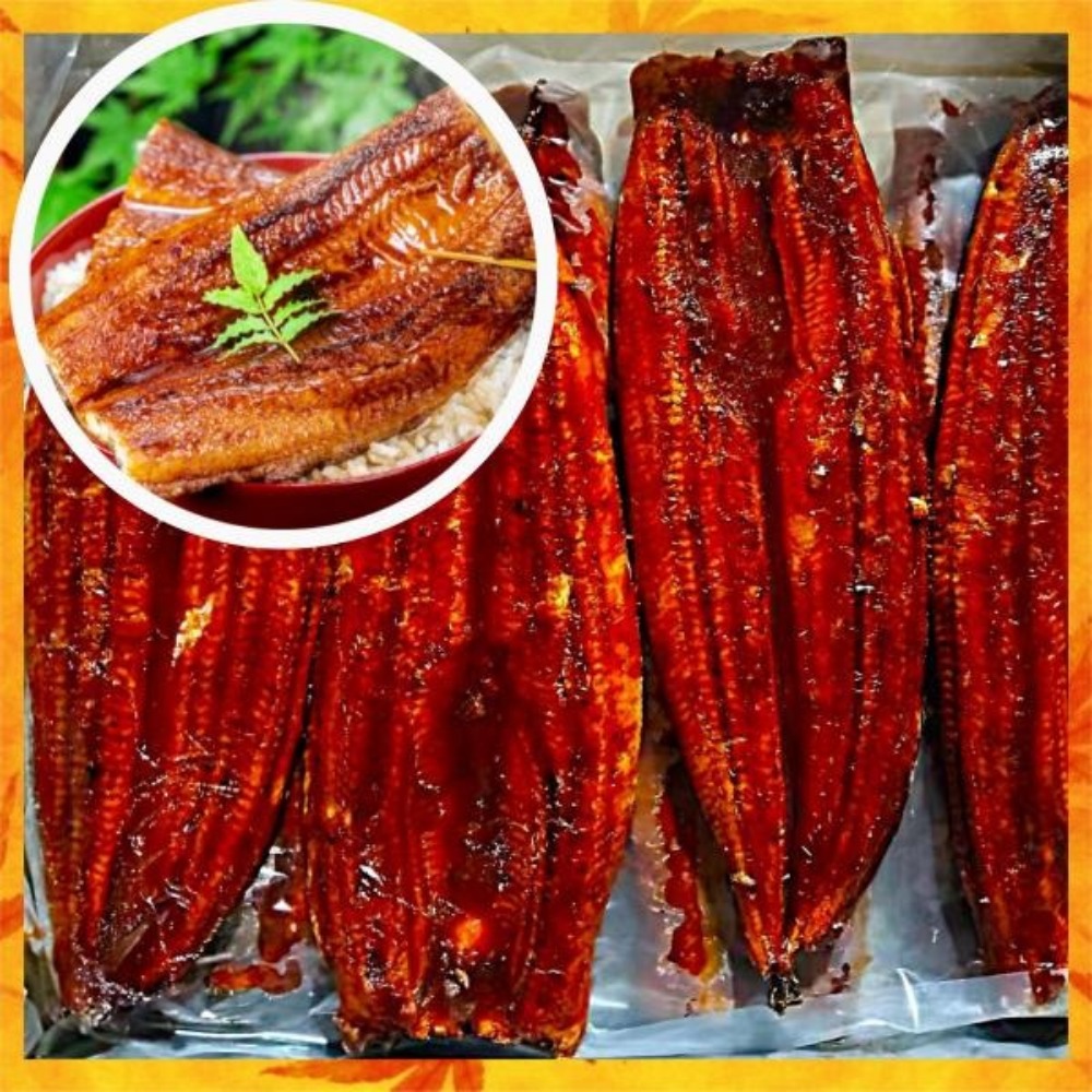 ★ジャポニカ種★うなぎ蒲焼（無頭40尾サイズ）【お試し5尾】