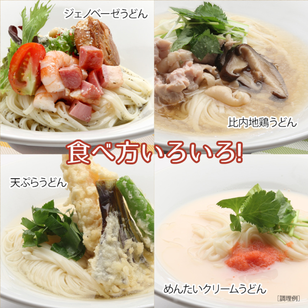 有名料亭など実績多数　冷凍稲庭うどん　100gx10P(約5食分)