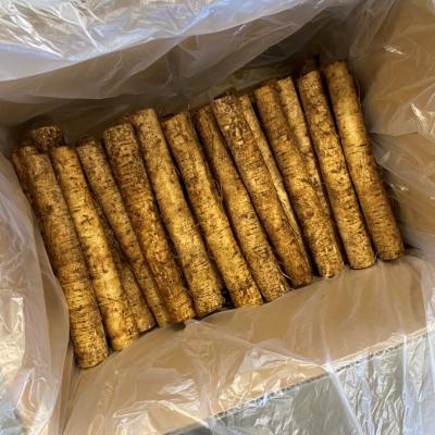 �y�X���Y�z�􂢂��ڂ��E����i�QL�`�RL�J�b�g�j10kg