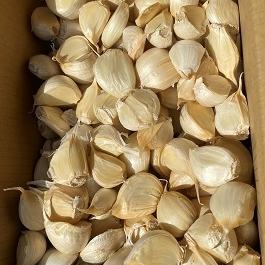 �y�X���Y�z���ɂ�ɂ��E��f�i���ʉ��j�o��1kg✕2