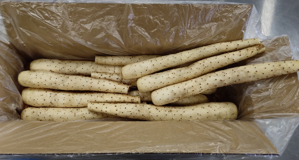 �y�X���Y�z�l�o���X�^�[�i�Ȃ������E�����j�g������T�C�Y