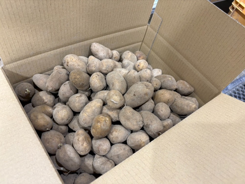 �y�k�C���Y�z���Ⴊ����(�C���J�̂߂��߁@30g〜60g�j