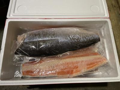 【新商品】【新商品】鮭の旨味たっぷり★銀鮭フィレ　あご出汁仕込み　焼き物など