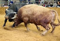 �X�܎ʐ^�E���S