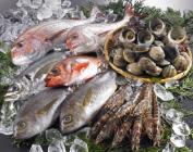 �X�܎ʐ^�E���S