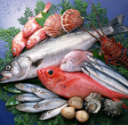 �X�܎ʐ^�E���S