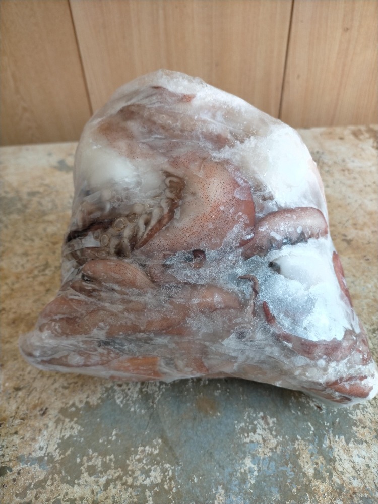 沖縄のイカといえば「セーイカ」（ソデイカ）のゲソ　2kg