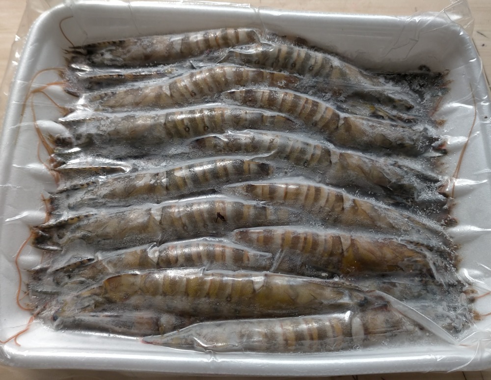 【沖縄養殖・活〆】車海老・くるまえび・車エビ　50型（500gx2）