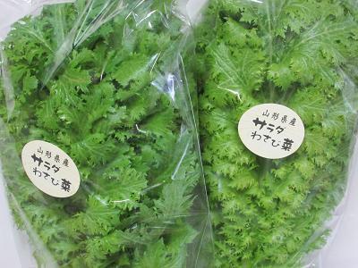 ピリッと辛いサラダ野菜 わさび菜 仕入れなら業務用食材卸売市場mマート