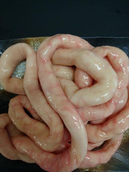 見栄え　鮮度抜群　九州産　和牛丸腸（太）　（生）