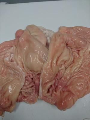 �y�����ʁz�������������@�N�x���Q�@��B�Y���јa���@�Ԑ疇�i�r�`���j