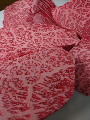 �y�����ʁz�ō����i���@��B�Y���јa��A5�E�`����