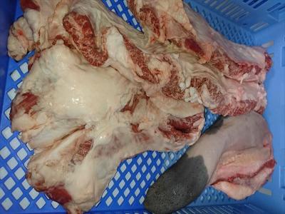 �y�����ʁz���ʌ���@��B�Y���јa���@�����Z�b�g