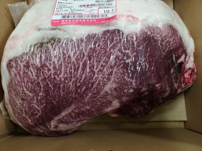 �ō��i���@�{�苍��������