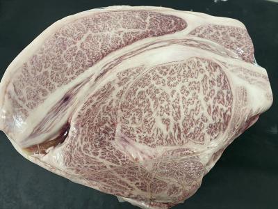 �y�����ʁz���������@���������@���i���@��B�Y���јa���@A5���u���[�X