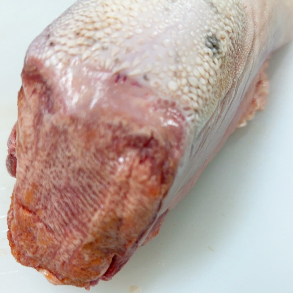 �y�����ʁz���ʌ���@��B�Y�@���Y���@���^��