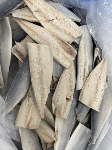 脂有り！宮城県産　真鯖フィーレ　キズ