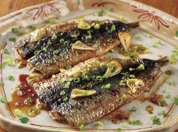 宮城県産　とろ金華まいわし　ラウンド90尾　10kg