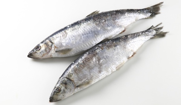 【新商品】【新商品】北海道　根室産　子持ちニシンR　IQF　12尾　4kg